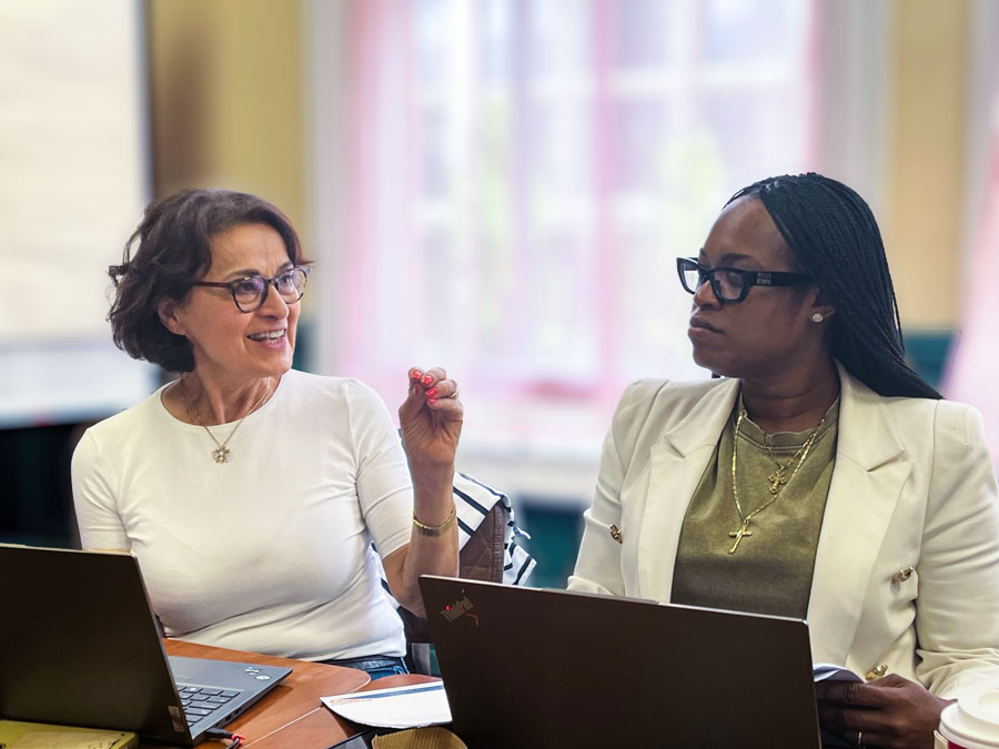 Portrait of change consultants